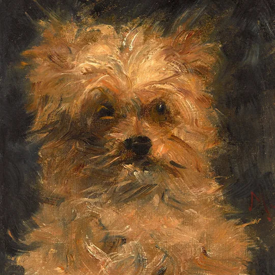 Köpek