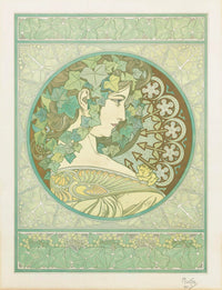 Ivy (1901)