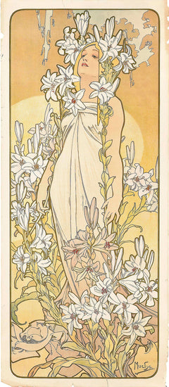 The Lily (1897)