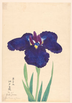 The Pride of Yedo (Yedo-Jiman) (1910)