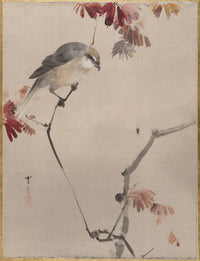 Bird on Branch Watching Spider (1887)