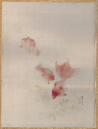 Goldfish (1887)